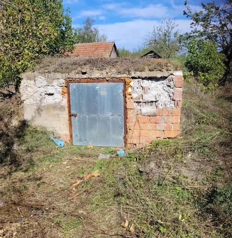 BRASADAS vinde casa in Moftinul Mare.