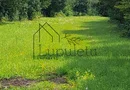 Teren Intravilan | 1500 MPU | Tocile, Comuna Sadu