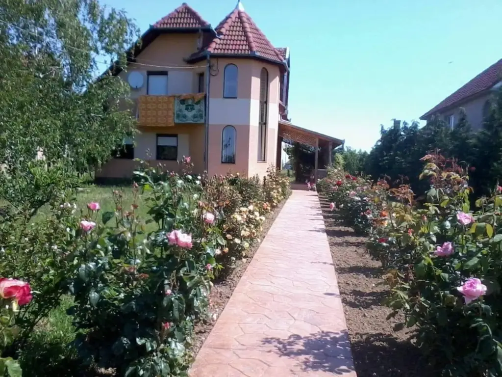 Casă 2 familii / firmă + livadă Satu Mare - Cionchești