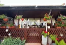 Casă individuală | 4 Camere | 150 MPU | Cisnădioara