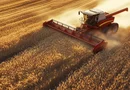 Fermă 1.500 ha – Nord-Est România | Investiție Operațională
