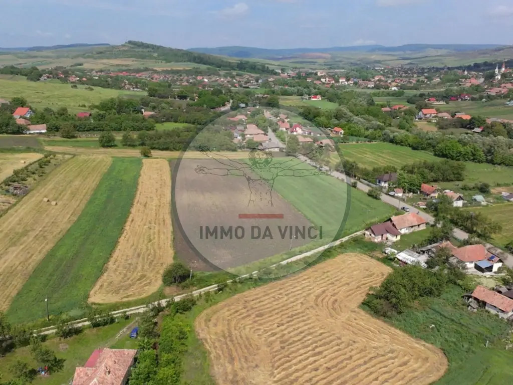Teren Intravilan 1.439 mp Borșa, Cluj – Ideal Casă sau Cabană