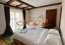Casa saseasca CRISTIAN,amenajata LUX,pt turism,piscina,curte