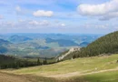Casă montană cu 3.000 mp teren | Dorna Arini – lângă Vatra Dornei