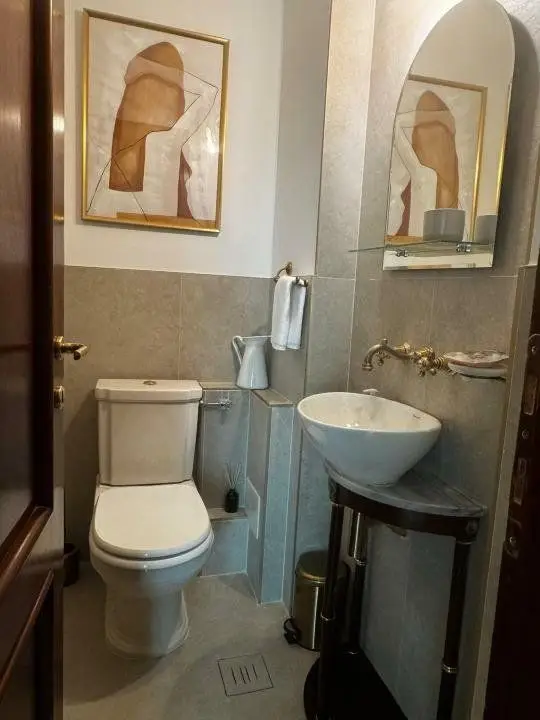 BRASADAS închiriază Penthouse cu terasa la Parcul Circului.