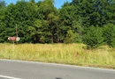 TEREN INTRAVILAN ÎN MARGA-LA DN68 JUD.CARAȘ-SEVERIN