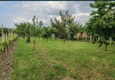 Casa de vanzare in Sacaseni, langa baile termale Tasnad