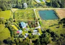 O proprietate de exceptie la Corbi, 18 ha, izvor, lac, pastravarie