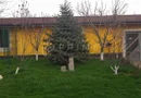 Casa de Vanzare Sancraiu de Mures