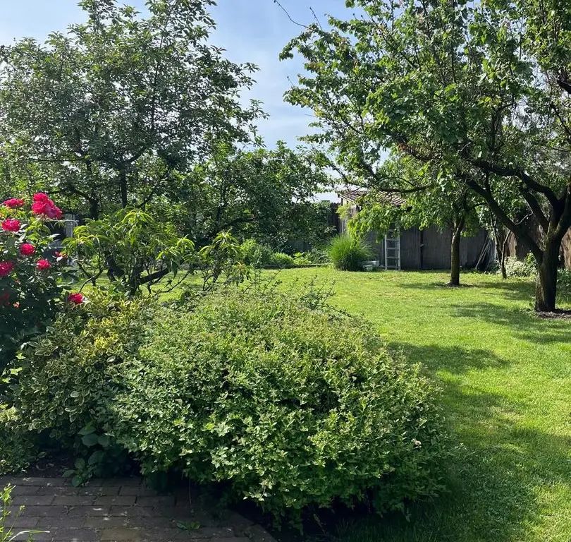 Casă elegantă, spațioasă, ideală pentru familie – Sanmihaiu Roman