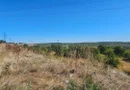 Teren intravilan 14.168 mp – pozitie excelenta la intrarea in Braila