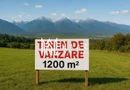 Teren Intravilan I Cârțișoara I 1200 MP