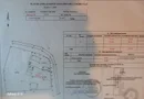 ageuropa.ro vinde teren 39 ari în Vetis LANGA PRIMARIE.