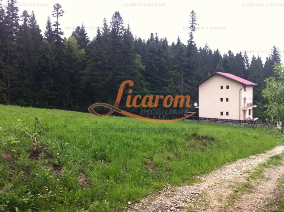 Teren intravilan Cotul Donului,pretabil Hotel/pensiune.