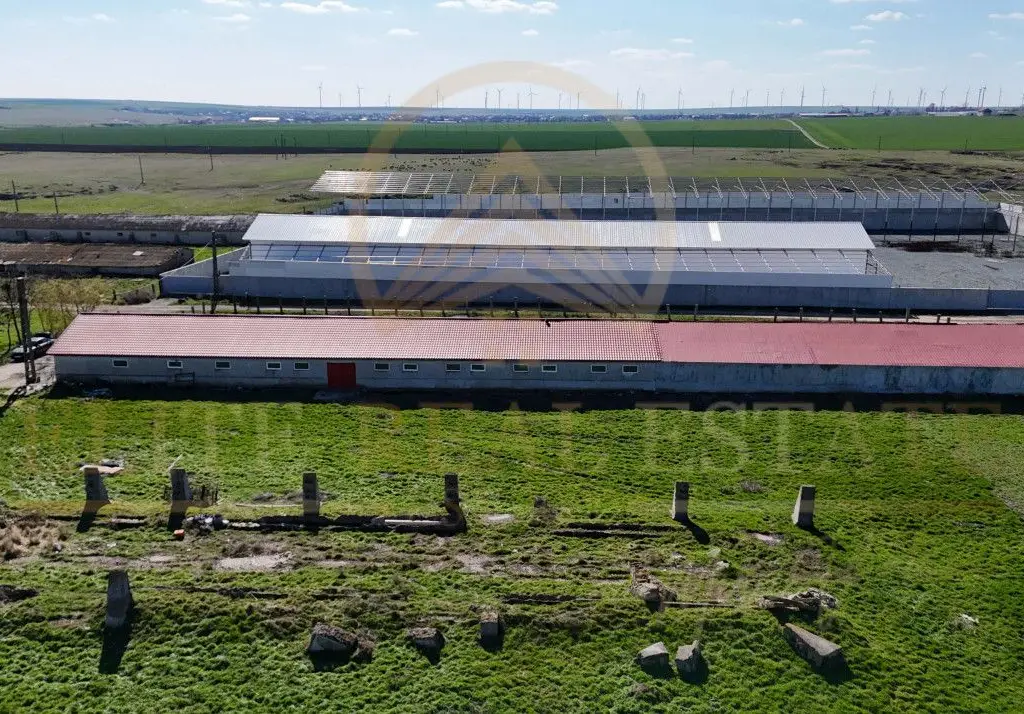 Tariverde - Ferma zootehnica functionala, 3 hectare teren intravilan!