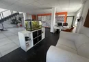 Hala P+1 cu birouri, depozit si teren 2.641 mp de vanzare Timisoara