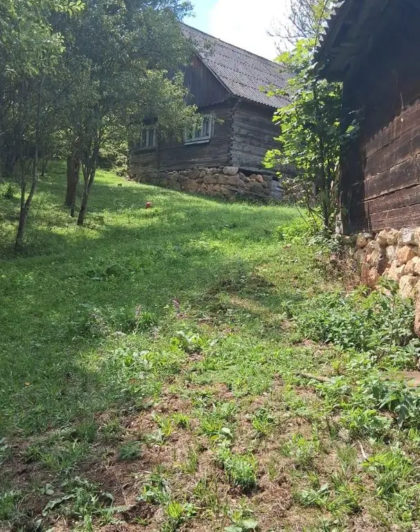 De vânzare casă cu teren Albac 5000m²