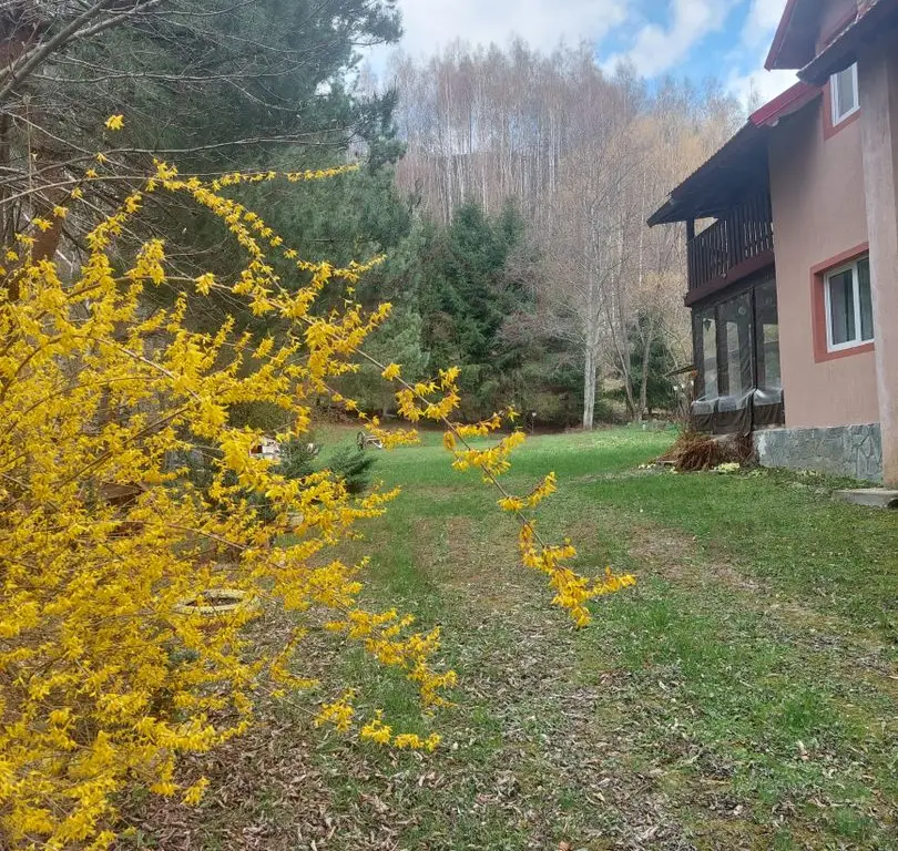 CASĂ DE VACANȚĂ 5 CAMERE,POINANA MĂRULUI, JUD.CARAȘ-SEVERIN