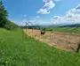 Teren Extravilan de Vânzare – 2.500 mp | Hamba | Zonă în Dezvoltare