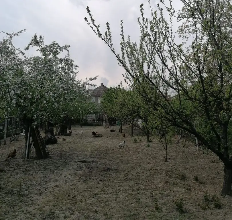 Ag EUROPA vinde casa 6 cam teren 11 ari în zona 14 Mai.
