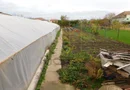 Teren 1187 mp. Centrala proprie. Zona Mehala - Bucovina