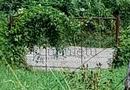 Teren Intravilan | 1500 MPU | Tocile, Comuna Sadu
