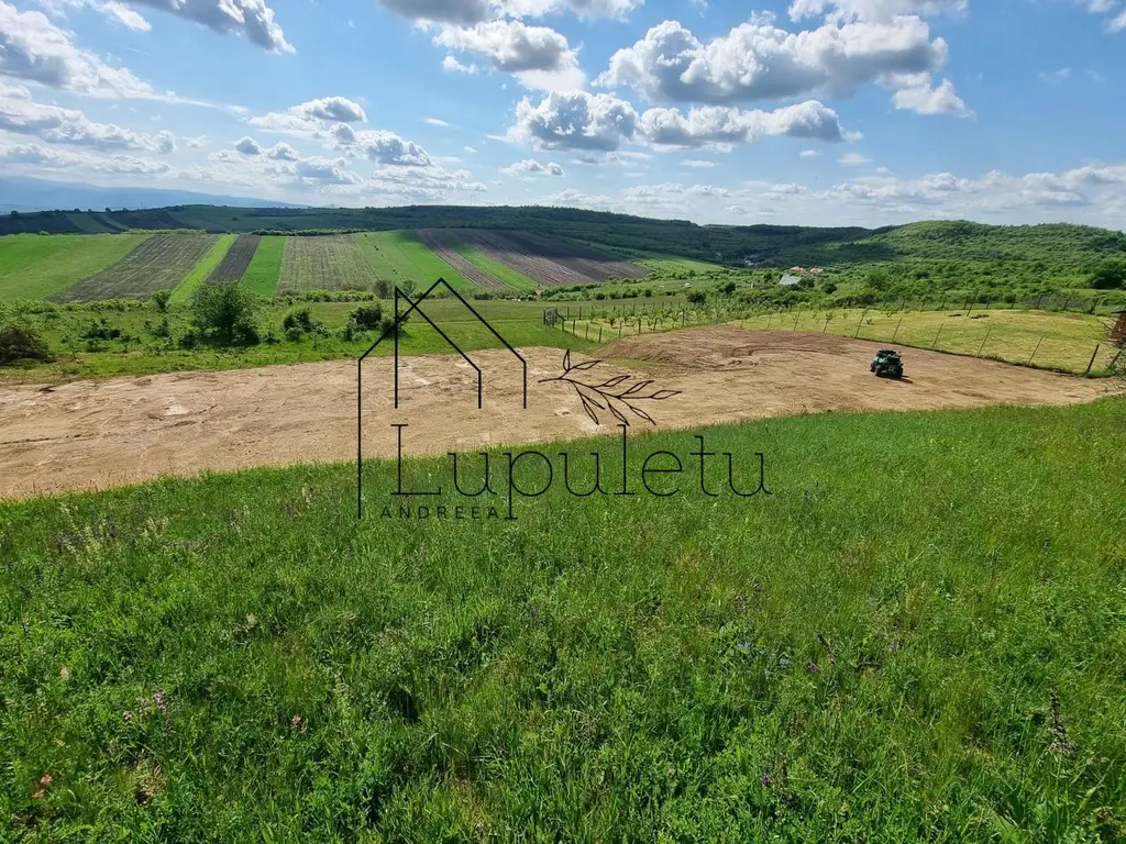 Teren Extravilan de Vânzare – 2.500 mp | Hamba | Zonă în Dezvoltare