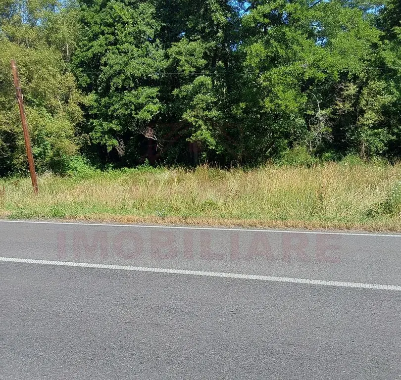 TEREN INTRAVILAN ÎN MARGA-LA DN68 JUD.CARAȘ-SEVERIN
