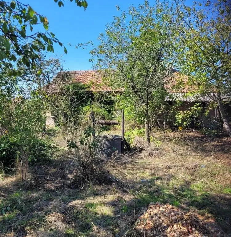 BRASADAS vinde casa in Moftinul Mare.