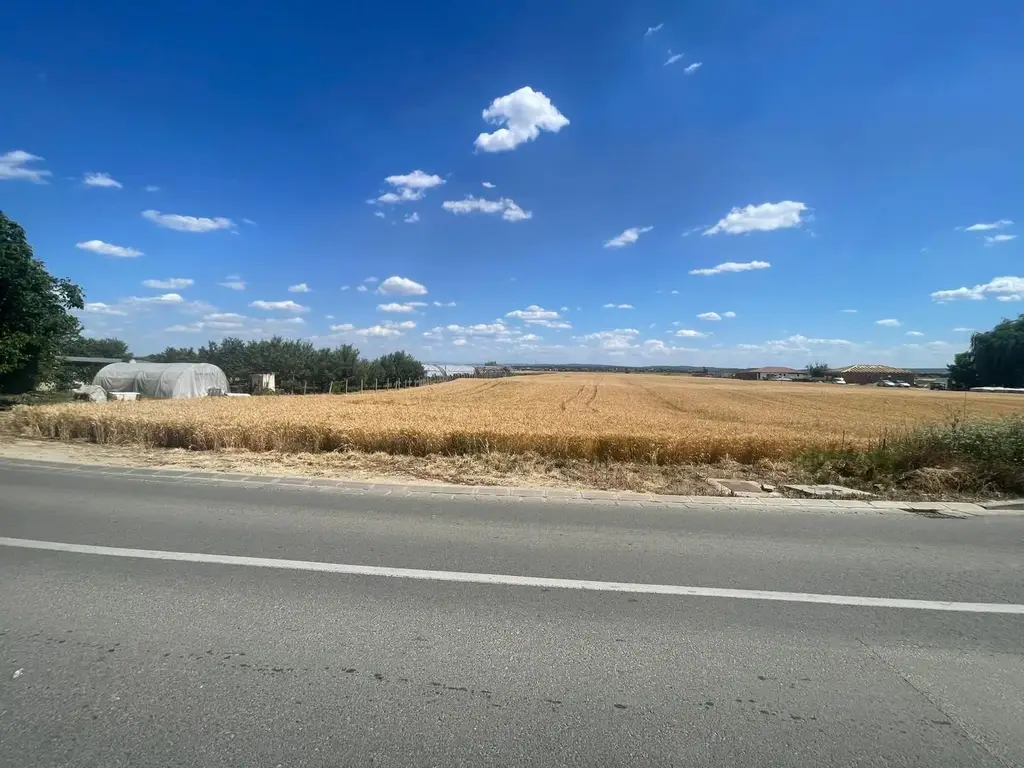 Teren intravilan in Podgoria pt parcelare șau construcții rezidențiale