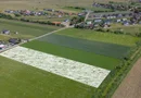 Teren 9.300 mp Stupini | Front 45.59 m la Asfalt | PUG Zonă L1c
