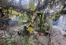 Casă de vânzare sector 1 Bucuresti
