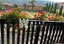 Vilă 7 Camere | 256 MPU | 2000 MP Teren Terasat | Tocile