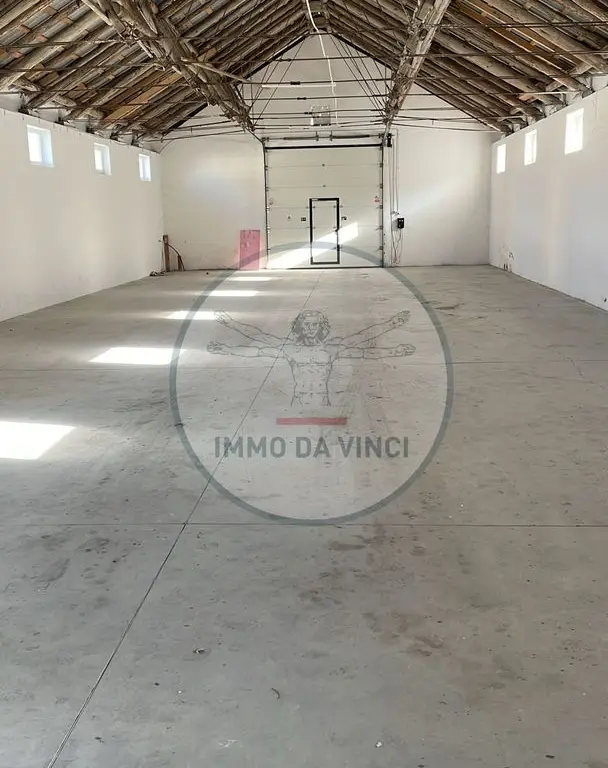 Hală Nouă 270 mp – Str. Depozitelor 56, Satu Mare