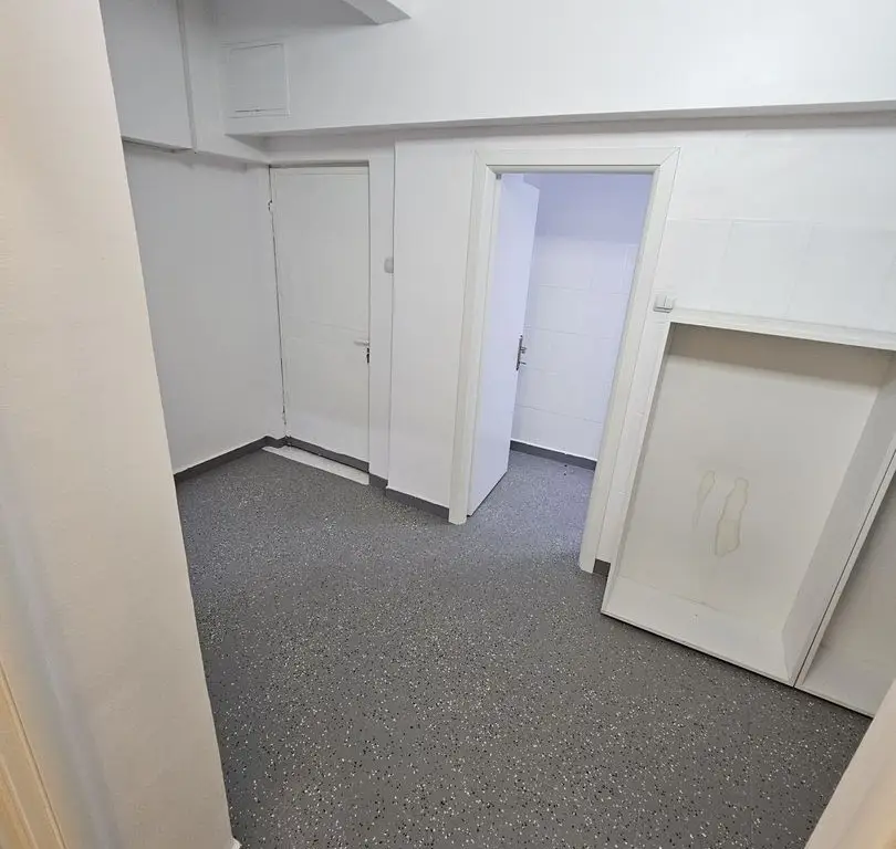 Spatiu Ultracentral Piata Calea Victoriei Moxa Romana