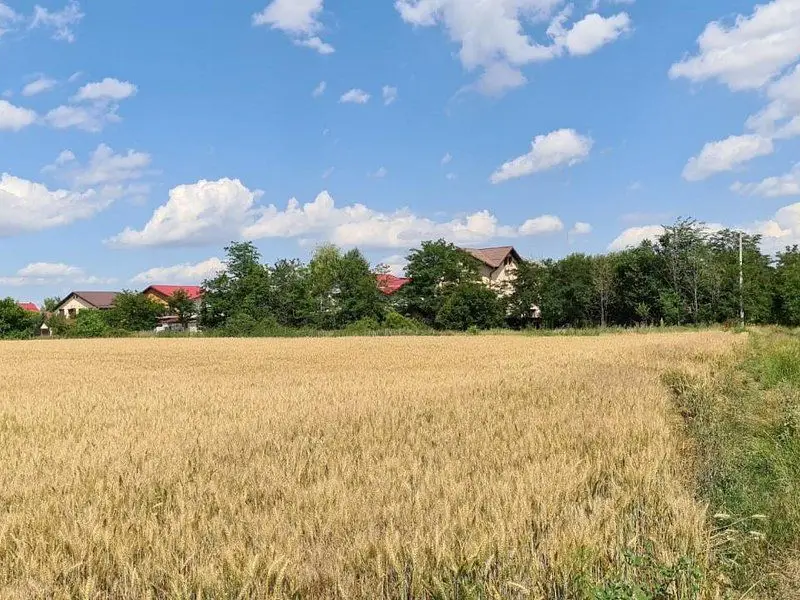 Vidra Complex Dealu Verde teren 385 mp