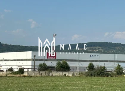 Teren 23.300 mp | 200 ml | Ideal dezvoltare rezidențială sau industrială