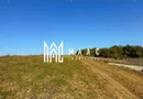 Teren | 651MP | Extravilan | Rusciori