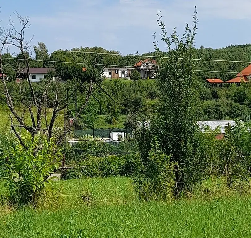 Teren Intravilan | 1500 MPU | Tocile, Comuna Sadu