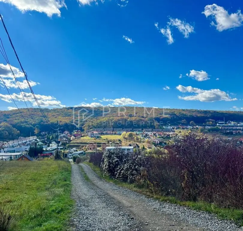 Teren cu potențial multiplu de dezvoltare – Corunca, E60, 10.000 mp
