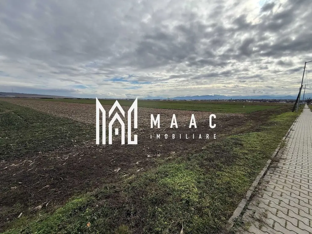 Teren intravilan | 9600 mp | Șură Mică | Utilități | Drum Asfaltat