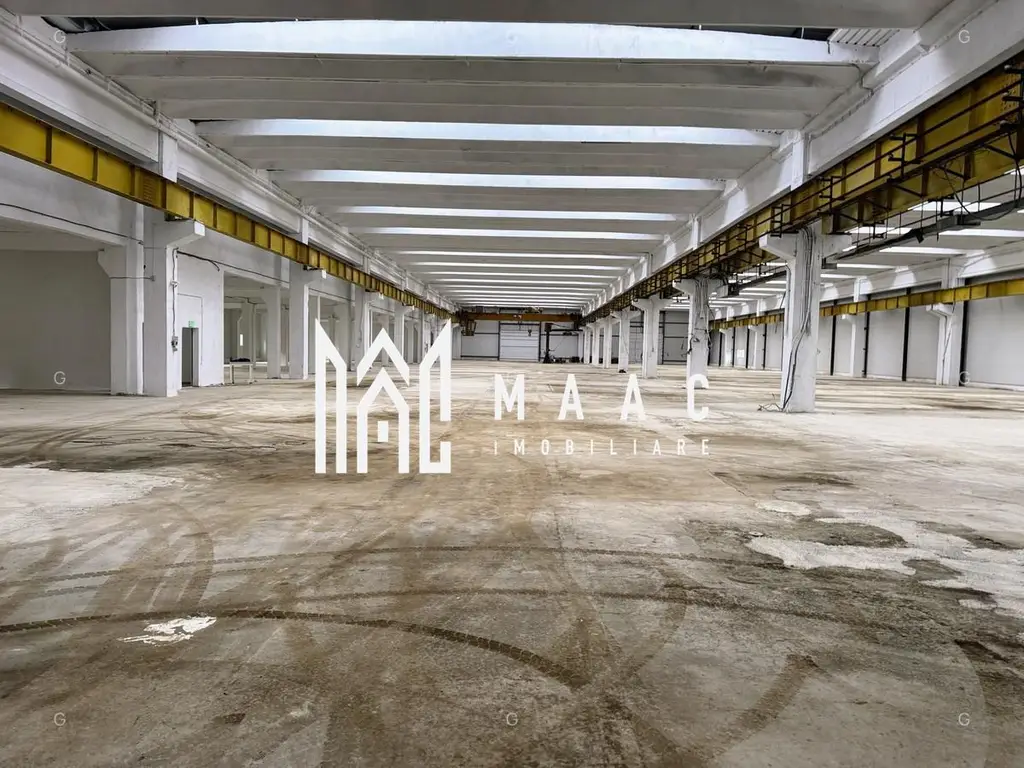 Hala producție I 6857 mp I Acces TIR I Pod Rulant I Mârșa