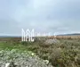 Teren intravilan | 860 mp | Deschidere 16 m | Priveliște montană | Bradu