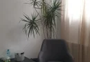 Spatiu Astra