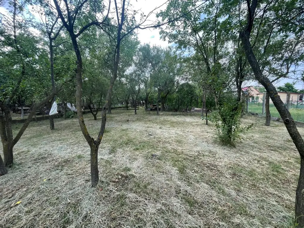 Vindem casă tradițională in sat Sabolciu,central, 4500 mp- 76.000 euro