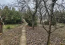 Teren 2.600 mp, utilități, Str. Merișor – Giurgiu