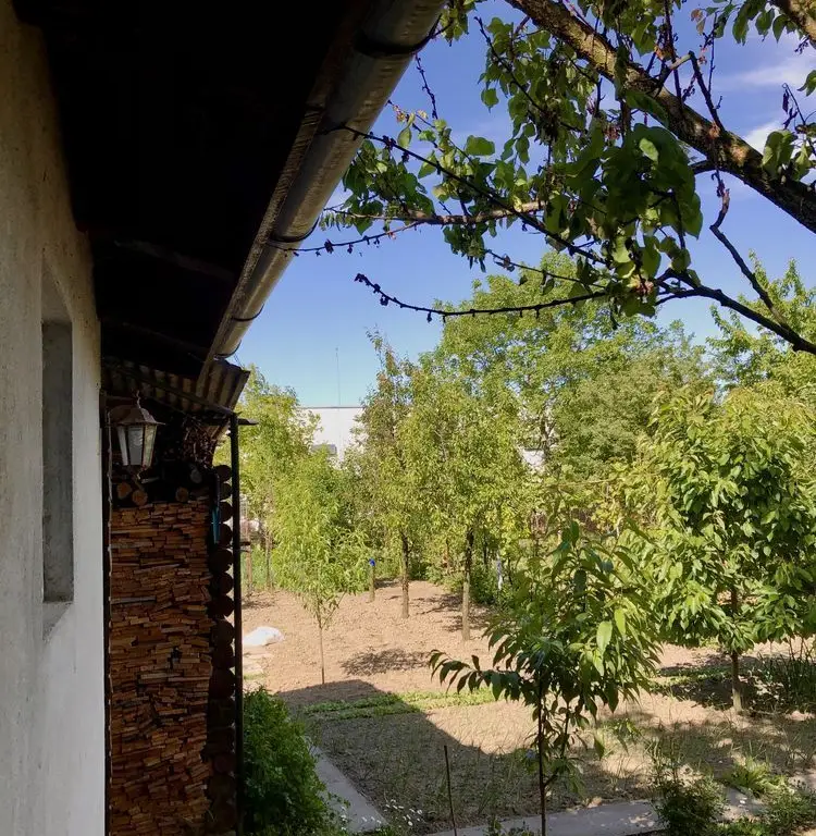 BRASADAS vinde casă cu etaj 8 cam 8 ari zona BOTIZULUI.