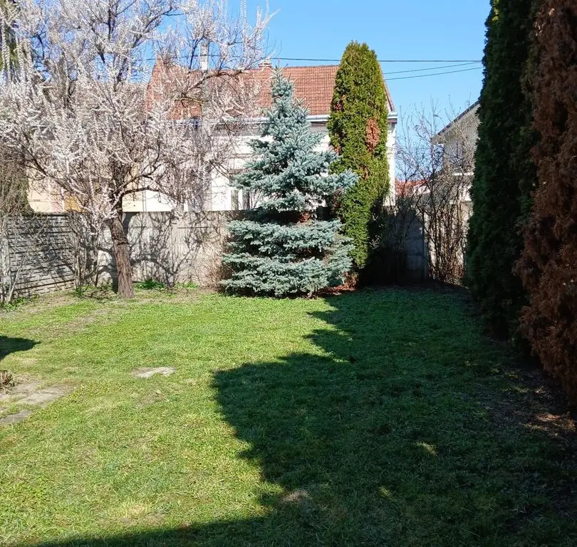 BRASADAS vinde casa cu 4 cam teren 360mp zona ULTRACENTRALĂ.