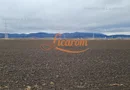 Teren extravilan 2,9 HA,intre Cristian si Vulcan