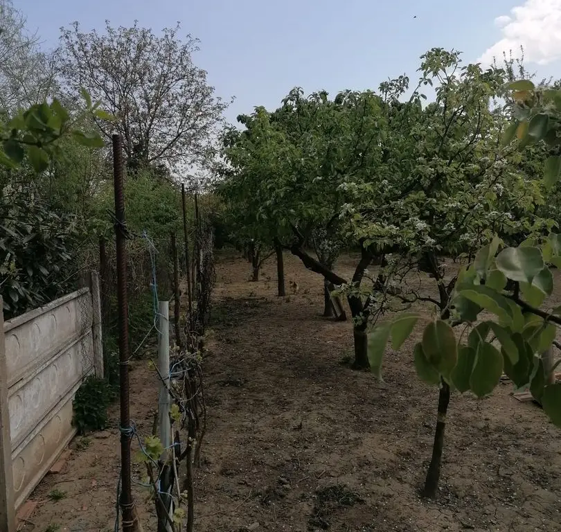 Ag EUROPA vinde casa 6 cam teren 11 ari în zona 14 Mai.
